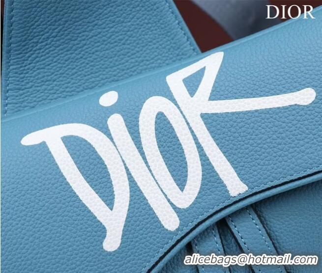 Unique Grade Dior Essentials SADDLE BAG Grained Calfskin 1ADPO093f-1 blue