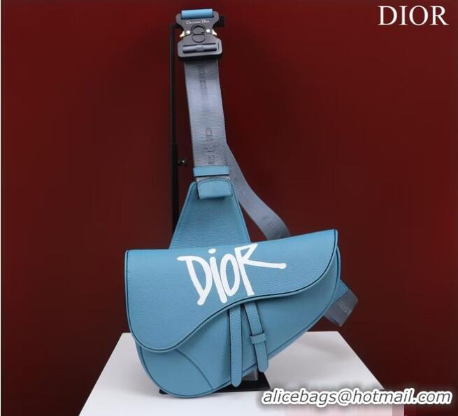 Unique Grade Dior Essentials SADDLE BAG Grained Calfskin 1ADPO093f-1 blue