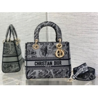 Good Product Dior Medium Lady D-Lite Bag in Plan de Paris Embroidery CD7105 Grey 2023