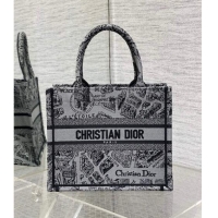 Super Quality Dior Small Book Tote Bag Bag in Plan de Paris Embroidery CD7109 Grey 2023