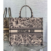 Well Crafted Dior Large Book Tote Bag Bag in Beige Plan de Paris Embroidery CD7107 Beige 2023