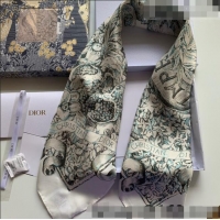 Famous Brand Dior Silk Sqaure Scarf 90x90cm 070531 Grey 2022