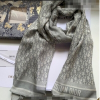 Hot Sell Cheap Dior Oblique Silk Long Scarf 65x195cm 0915 Grey 2022