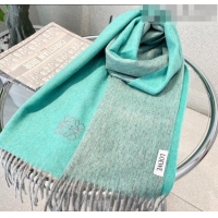 Hot Sell Cheap Loewe Cashmere Long Scarf 32x180cm 1008 Green 2022