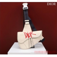 Famous Brand Dior Essentials SADDLE BAG Grained Calfskin 1ADPO093G WHITE