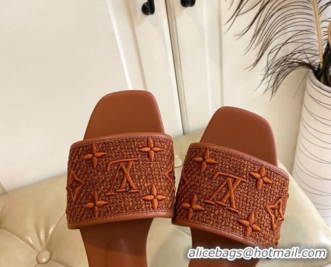 Good Product Louis Vuitton Wove Fabric Flat Slide Sandals Brown 711139