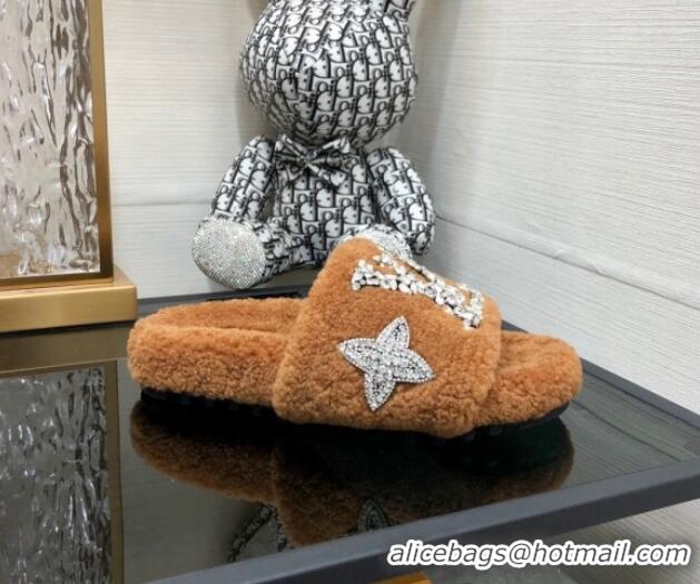 Purchase Louis Vuitton Shearling Flat Slide Sandals with Crystals Brown 804085