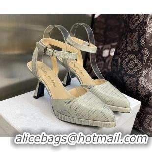 Purchase Dior Pumps 8cm in lizard Embossed Leather Grey 605022