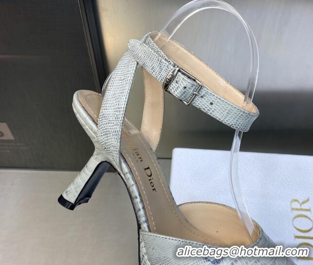 Purchase Dior Pumps 8cm in lizard Embossed Leather Grey 605022