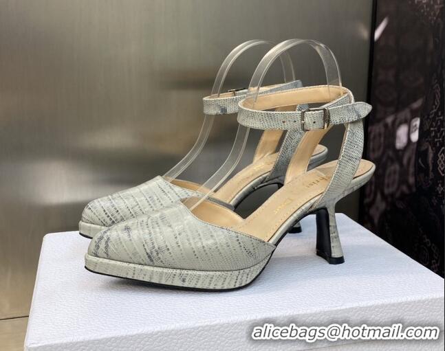 Purchase Dior Pumps 8cm in lizard Embossed Leather Grey 605022