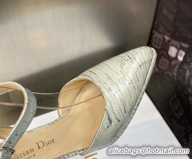 Purchase Dior Pumps 8cm in lizard Embossed Leather Grey 605022