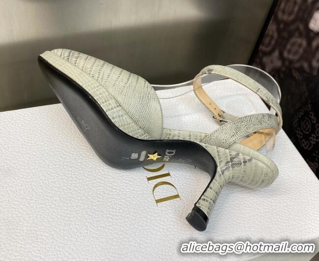 Purchase Dior Pumps 8cm in lizard Embossed Leather Grey 605022