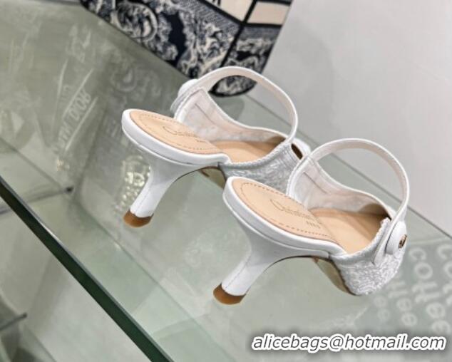 Unique Style Dior Capture Heeled Mules 6.5cm in Transparent Mesh Embroidered with Optic White Saint-Gall Motif 605049