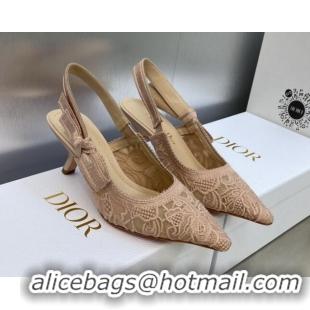 Stylish Dior J'Adior Slingback Pumps 6.5cm in Transparent Mesh Embroidered with Rose Des Vents Pink D-Lace Motif 606060