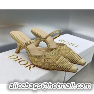 Grade Quality Dior Capture Heel Mules 6.5cm in Gold Cannage Embroidered Mesh with Crystals 620024