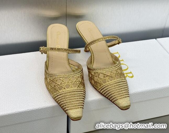 Grade Quality Dior Capture Heel Mules 6.5cm in Gold Cannage Embroidered Mesh with Crystals 620024