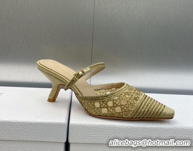 Grade Quality Dior Capture Heel Mules 6.5cm in Gold Cannage Embroidered Mesh with Crystals 620024