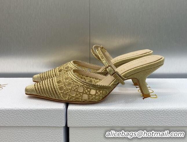 Grade Quality Dior Capture Heel Mules 6.5cm in Gold Cannage Embroidered Mesh with Crystals 620024