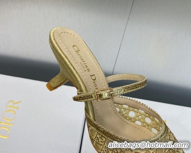 Grade Quality Dior Capture Heel Mules 6.5cm in Gold Cannage Embroidered Mesh with Crystals 620024