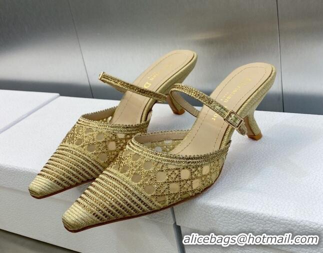 Grade Quality Dior Capture Heel Mules 6.5cm in Gold Cannage Embroidered Mesh with Crystals 620024