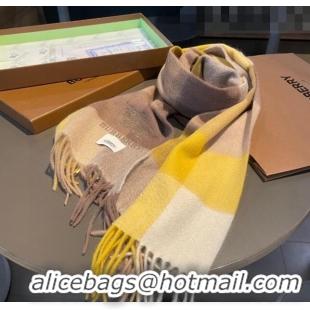 Top Grade Burberry Cashmere Long Scarf 30x180cm BR09051 Yellow 2023