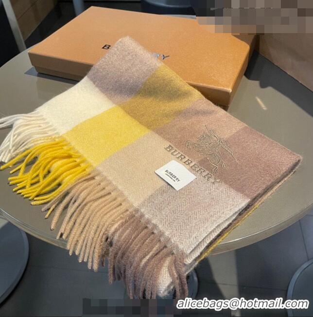 Top Grade Burberry Cashmere Long Scarf 30x180cm BR09051 Yellow 2023