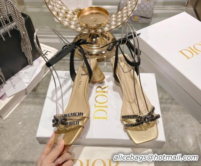 Best Product Dior Sunset Heeled Sandals 4.5cm in Lambskin and Crystals Gold 0718080