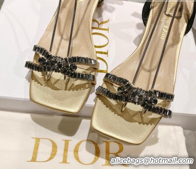 Best Product Dior Sunset Heeled Sandals 4.5cm in Lambskin and Crystals Gold 0718080