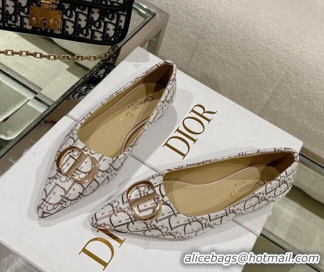 Perfect Dior Oblique Canvas Pointed Ballet Flat Light Grey 724072