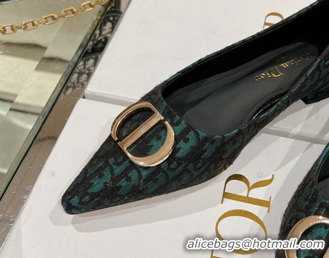 Good Looking Dior Oblique Canvas Pointed Ballet Flat Green 724077