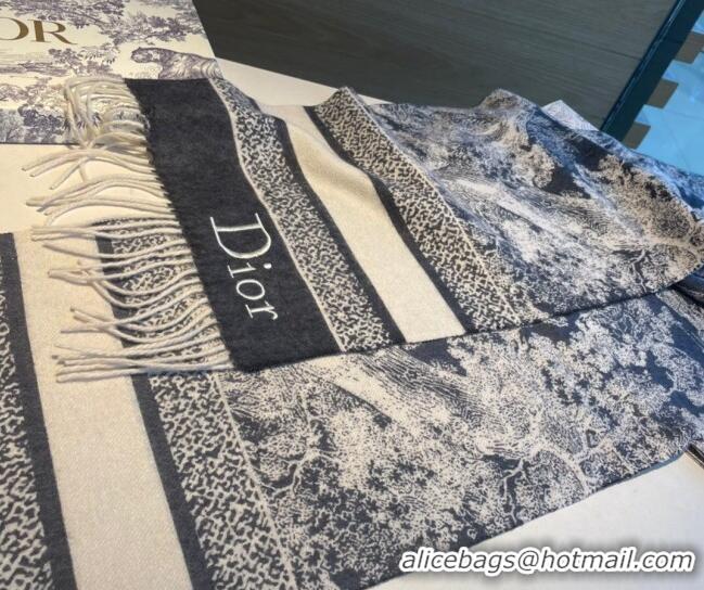 Famous Brand Dior Cashmere Long Scarf 30x180cm DR09191 Dark Blue 2023