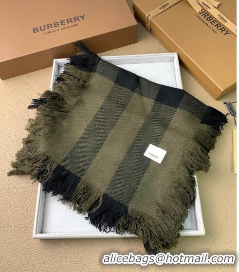 Top Quality Burberry Check Long Scarf with Fringe 35x240cm BR09131 Green 2023