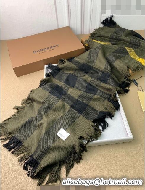 Top Quality Burberry Check Long Scarf with Fringe 35x240cm BR09131 Green 2023