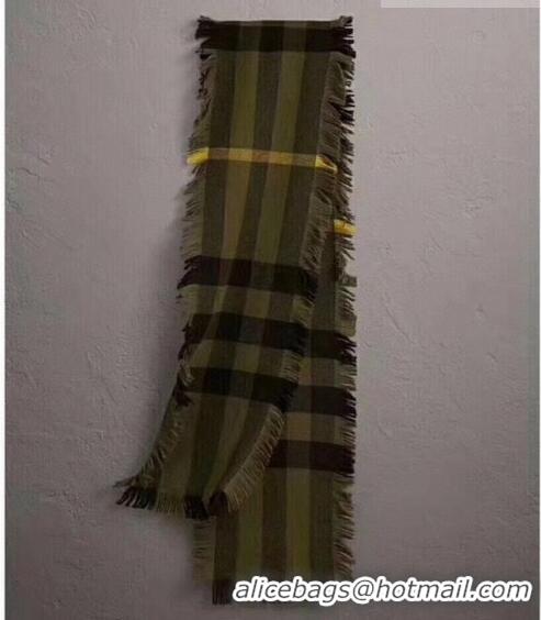 Top Quality Burberry Check Long Scarf with Fringe 35x240cm BR09131 Green 2023