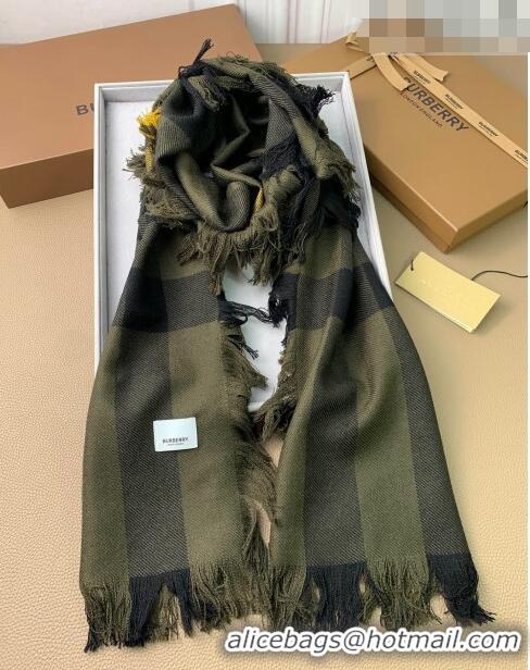 Top Quality Burberry Check Long Scarf with Fringe 35x240cm BR09131 Green 2023