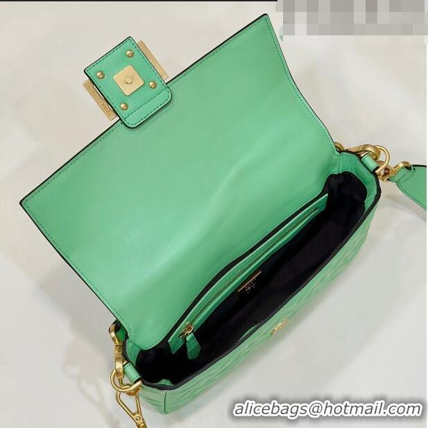 Well Crafted Fendi Baguette Medium Nappa Leather Bag 0135AM Light Green 2023