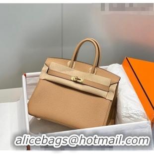 Buy Fashionable Hermes Birkin 25cm Bag in Togo Calfskin Milky Tea HB25 Brown/Gold