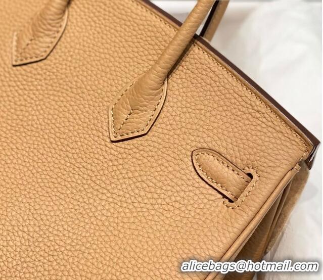 Buy Fashionable Hermes Birkin 25cm Bag in Togo Calfskin Milky Tea HB25 Brown/Gold