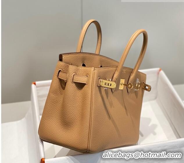 Buy Fashionable Hermes Birkin 25cm Bag in Togo Calfskin Milky Tea HB25 Brown/Gold