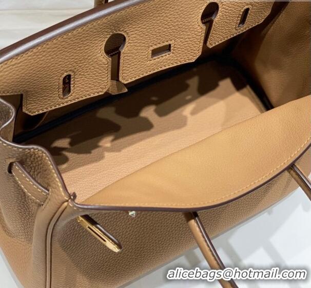 Buy Fashionable Hermes Birkin 25cm Bag in Togo Calfskin Milky Tea HB25 Brown/Gold