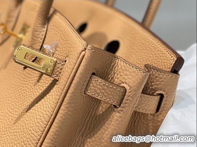 Buy Fashionable Hermes Birkin 25cm Bag in Togo Calfskin Milky Tea HB25 Brown/Gold