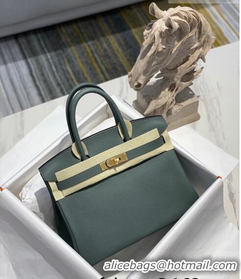 Trendy Design Hermes Birkin 30cm Bag in Togo Calfskin HB30 Almond Green/Gold