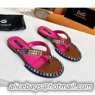 Most Popular Dolce & Gabbana DG Crystal Flat Thong Sandals Brown 113027