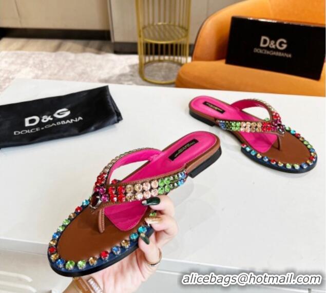 Most Popular Dolce & Gabbana DG Crystal Flat Thong Sandals Brown 113027