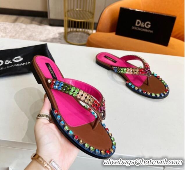 Most Popular Dolce & Gabbana DG Crystal Flat Thong Sandals Brown 113027