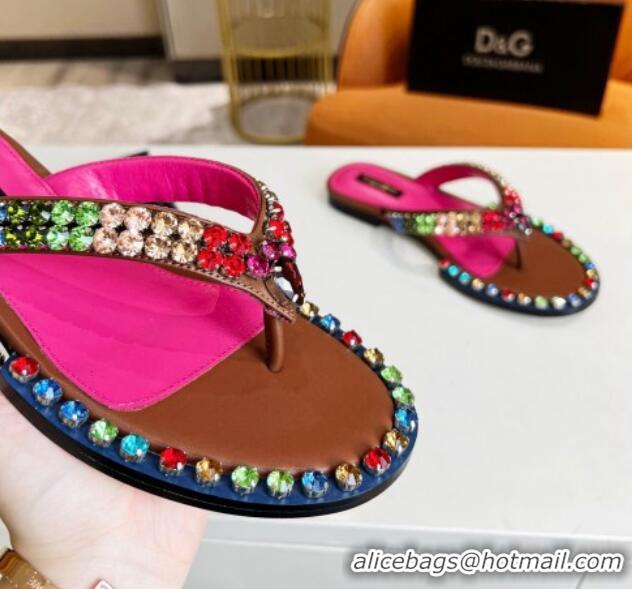 Most Popular Dolce & Gabbana DG Crystal Flat Thong Sandals Brown 113027