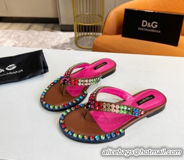 Most Popular Dolce & Gabbana DG Crystal Flat Thong Sandals Brown 113027