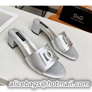 Popular Dolce&Gabbana Cutout DG Calfskin Heel Slide Sandals 5cm Silver 122704