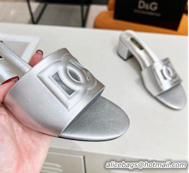 Popular Dolce&Gabbana Cutout DG Calfskin Heel Slide Sandals 5cm Silver 122704