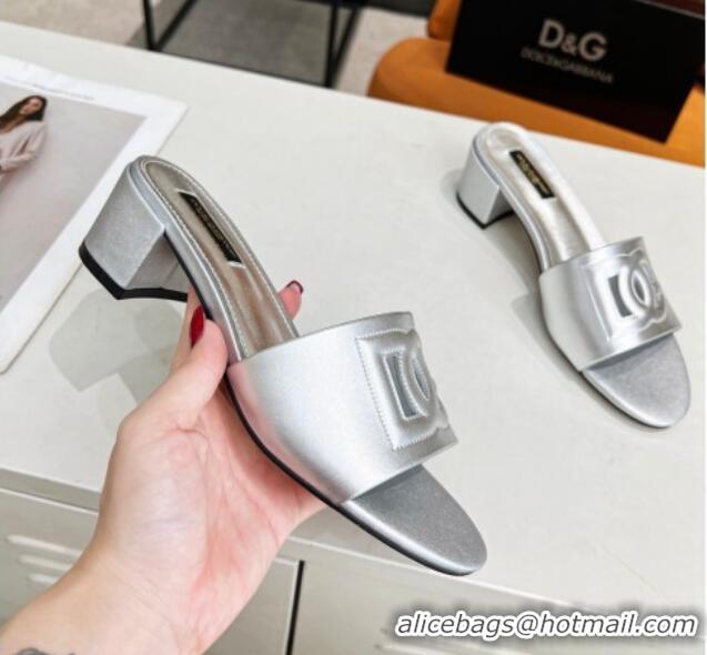 Popular Dolce&Gabbana Cutout DG Calfskin Heel Slide Sandals 5cm Silver 122704